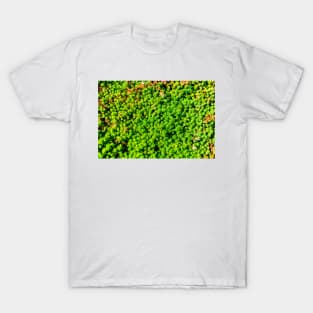 Succulent carpet T-Shirt